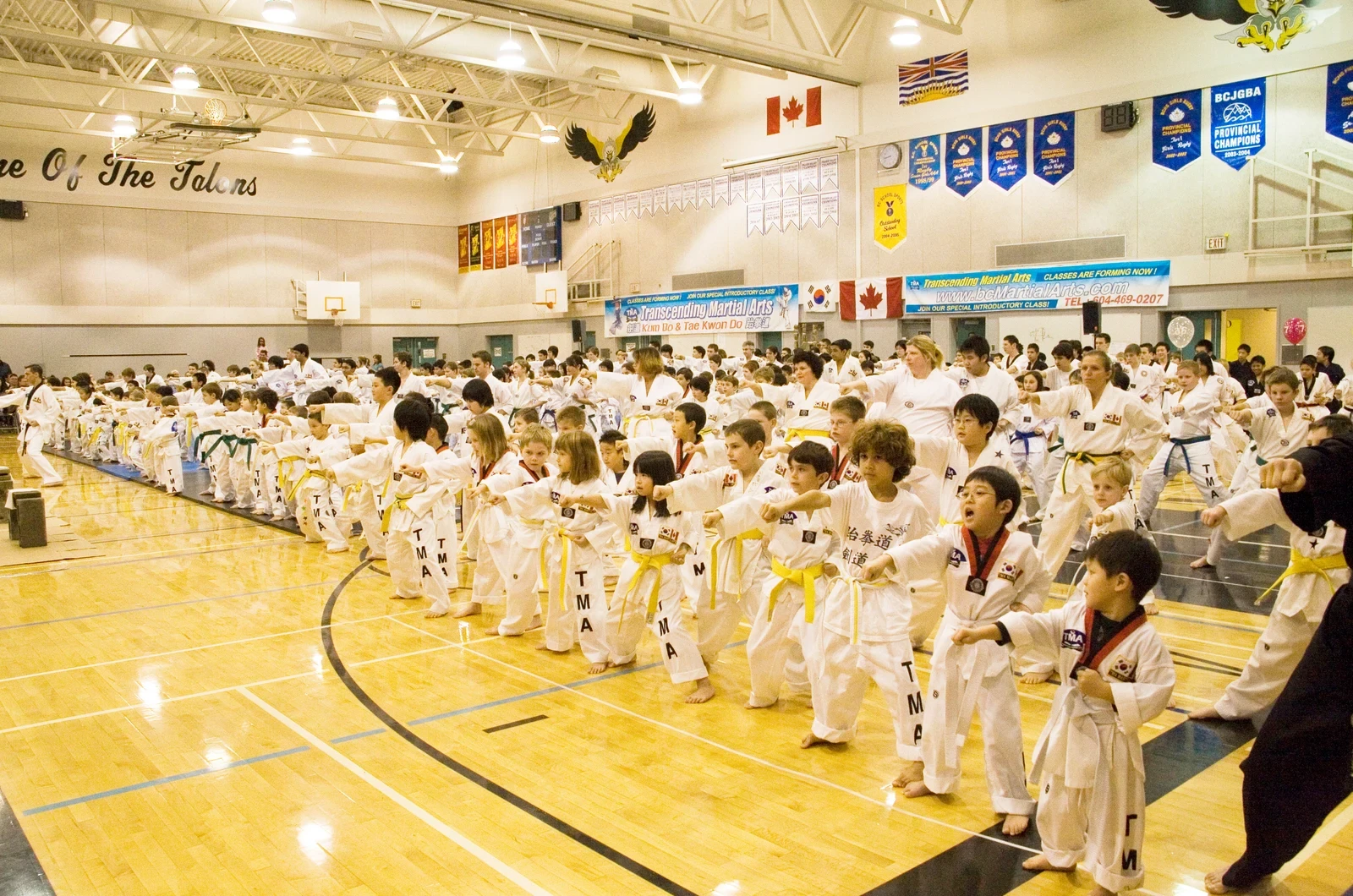 Kids martial arts discipline and focus
